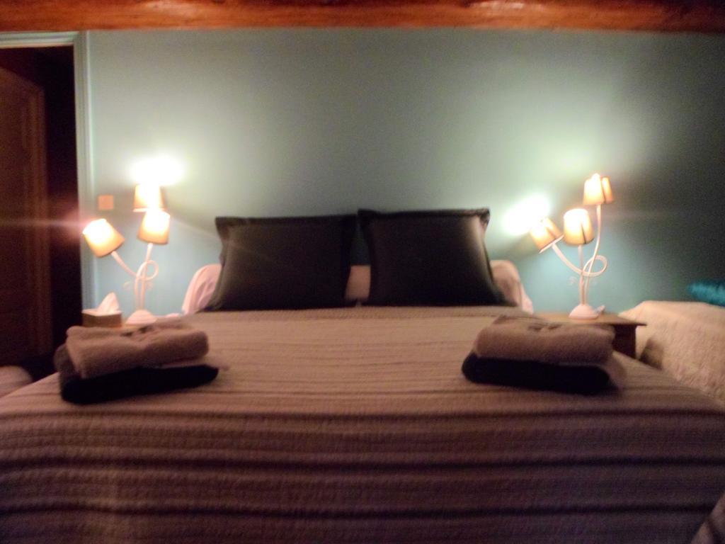Domaine De La Helliere Hotel Lailly-en-Val Room photo
